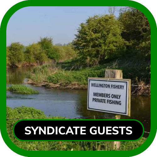 Syndicate Guest Day Tickets