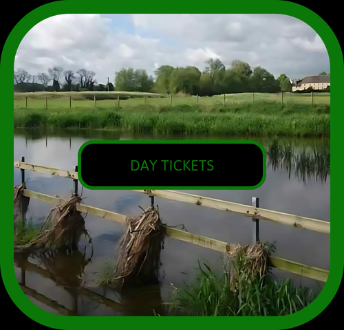 Day Tickets